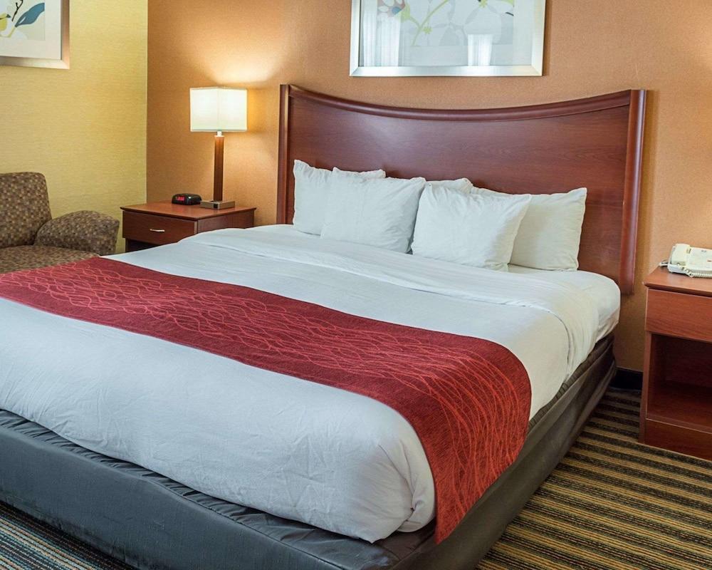Comfort Inn Petersburg Near Fort Gregg-Adams Kültér fotó