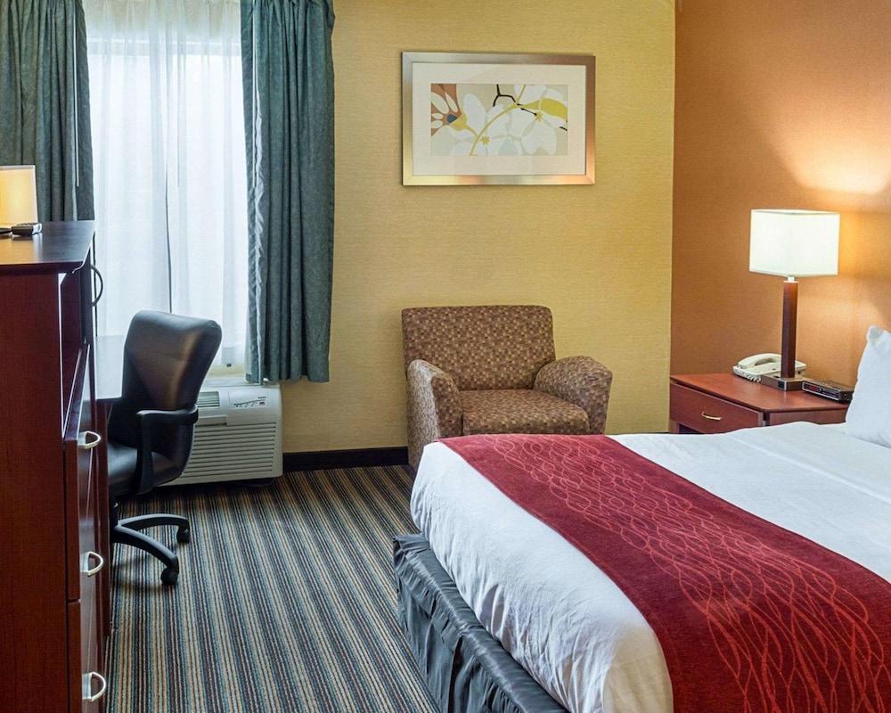 Comfort Inn Petersburg Near Fort Gregg-Adams Kültér fotó