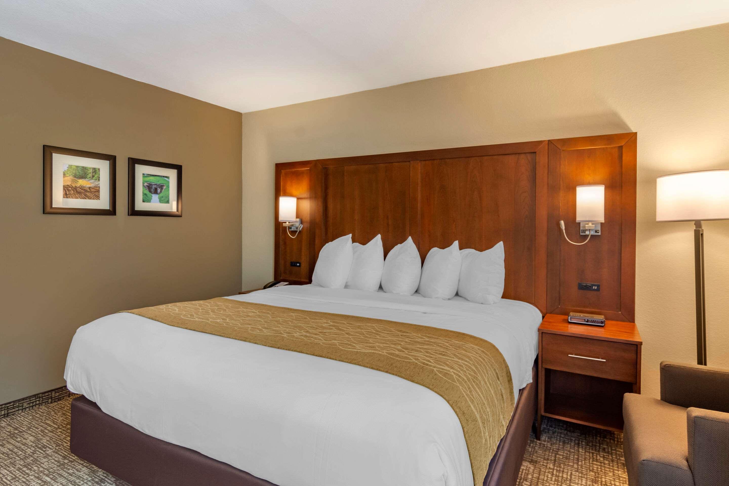 Comfort Inn Petersburg Near Fort Gregg-Adams Kültér fotó