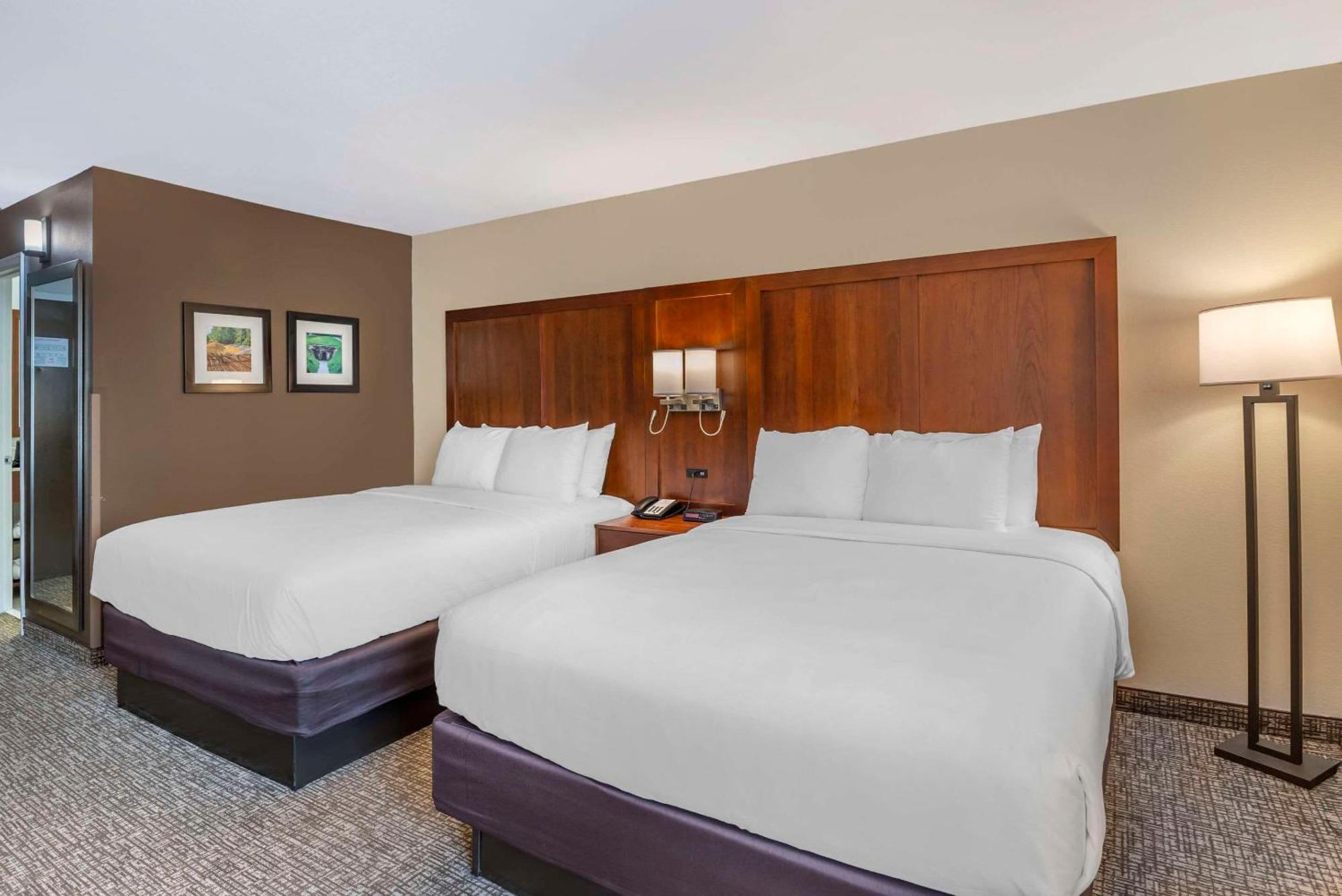 Comfort Inn Petersburg Near Fort Gregg-Adams Kültér fotó