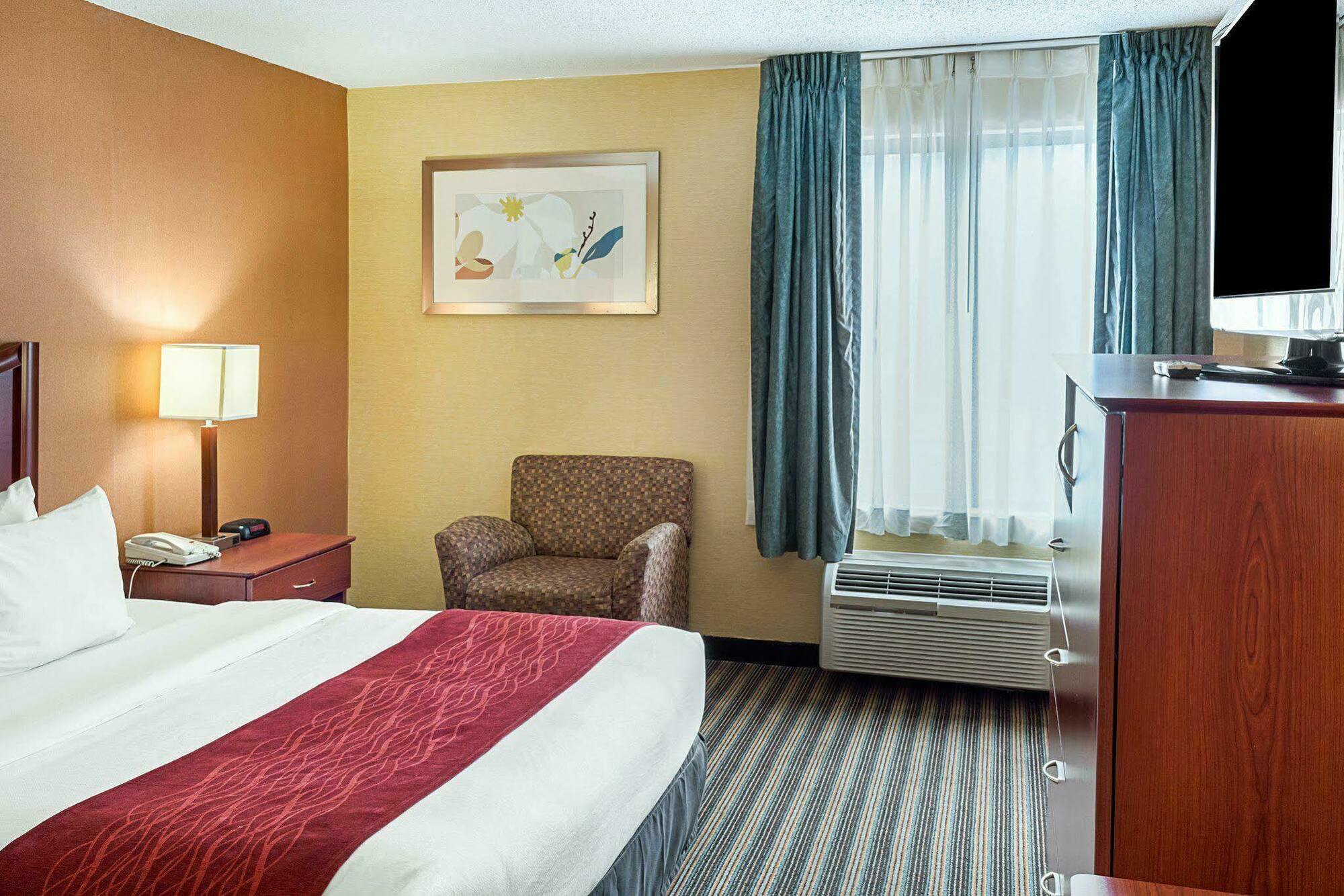 Comfort Inn Petersburg Near Fort Gregg-Adams Kültér fotó