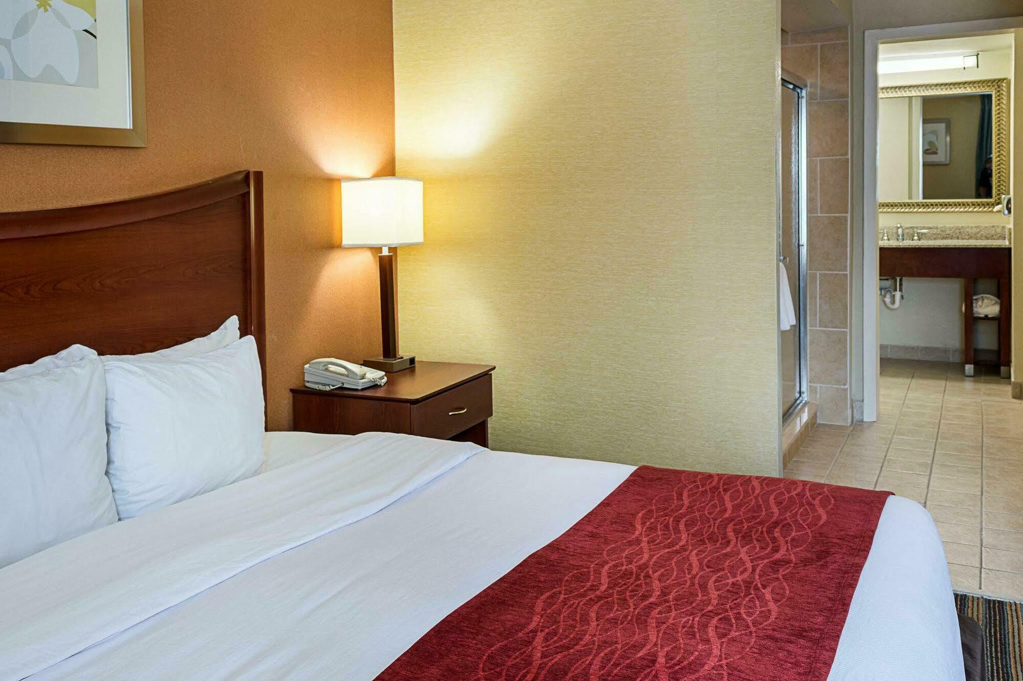 Comfort Inn Petersburg Near Fort Gregg-Adams Kültér fotó